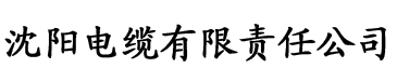 调教惩罚电缆厂logo